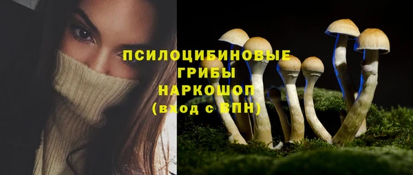 ECSTASY Белокуриха