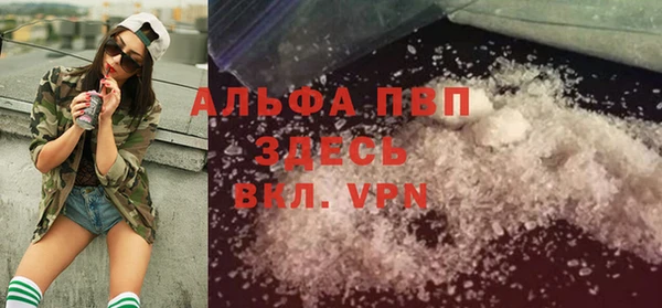ECSTASY Белокуриха