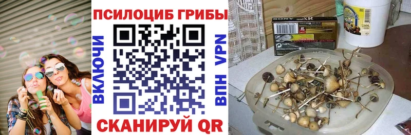 Галлюциногенные грибы MAGIC MUSHROOMS Володарск